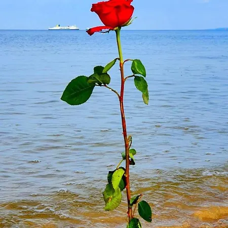 בית הארחה Zakatek