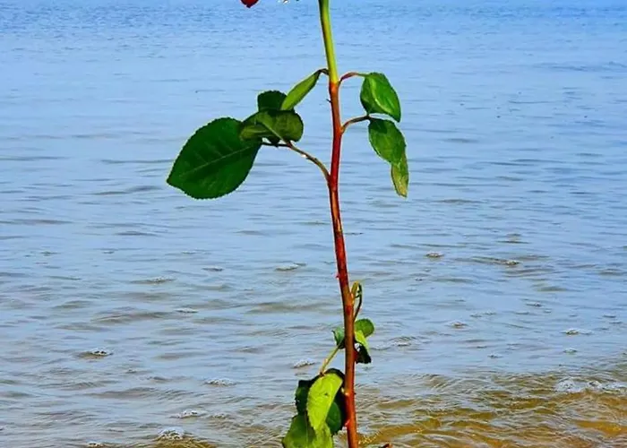 Гостевой дом Zakatek